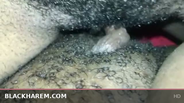 Ebony Lesbians Passionately Tribbing in Intense Sensual Encounter